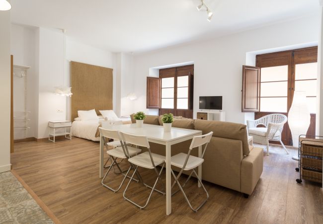 Estudio en Málaga - Santiago Premium loft I