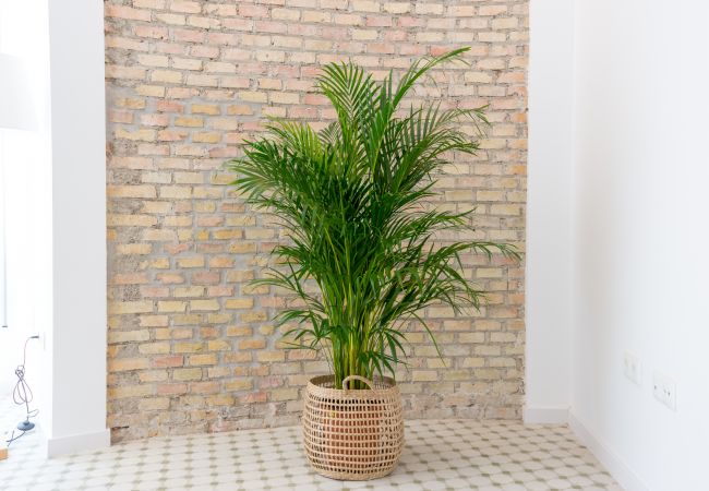 Apartamento en Málaga - Urbe10 Alcazaba Premium Apartamento en Málaga - Urbe10 Alcazaba Premium