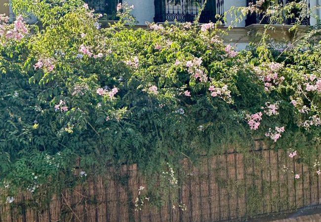 Apartamento en Málaga - Urbe10 Pries Garden Apartamento en Málaga - Urbe10 Pries Garden