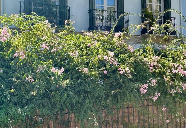 Apartamento en Málaga - Urbe10 Pries Garden Apartamento en Málaga - Urbe10 Pries Garden